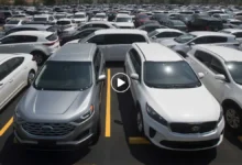 Best Car Insurance Companies in New Year